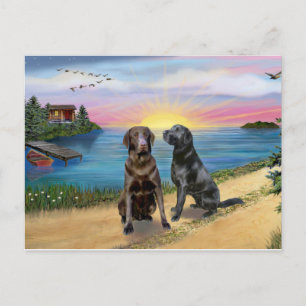 Carte Postale Lake Road - Deux récupérateurs Labrador (Choc-Blk)