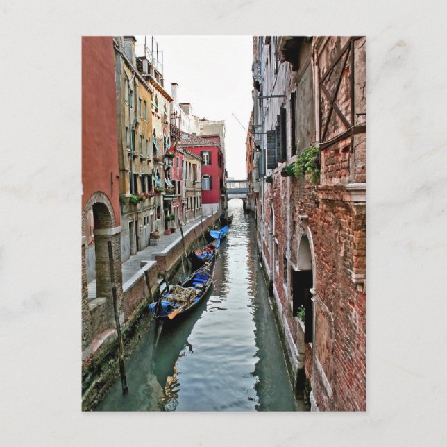 Carte Postale L'allée de Venice (Devant)