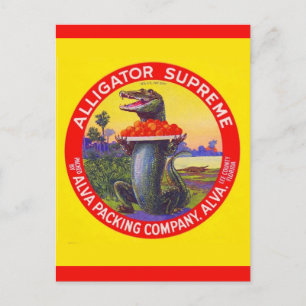 Carte Postale L'Alligator Suprême de Floride
