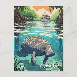 Carte Postale Lamantin dans Crystal River en Floride