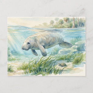 Carte Postale Lamantin de Floride Aquarelle