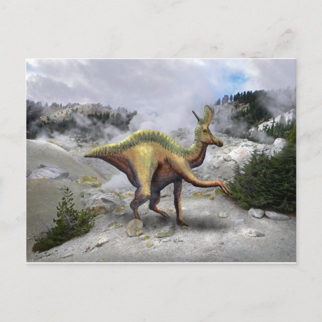 Carte Postale Lambeosaurus Dinosaur (Devant)