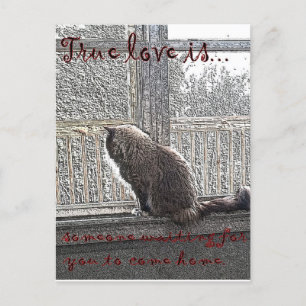 Carte Postale l'amour attend