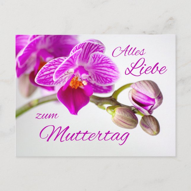 Carte Postale L'Amour de la Fête des mères (Devant)