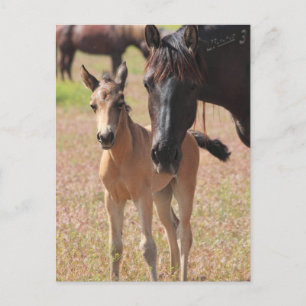 Carte Postale L'amour de la mère
