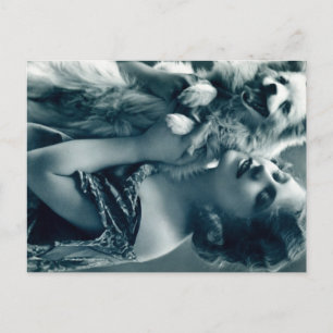 Carte Postale L'amour des chiots