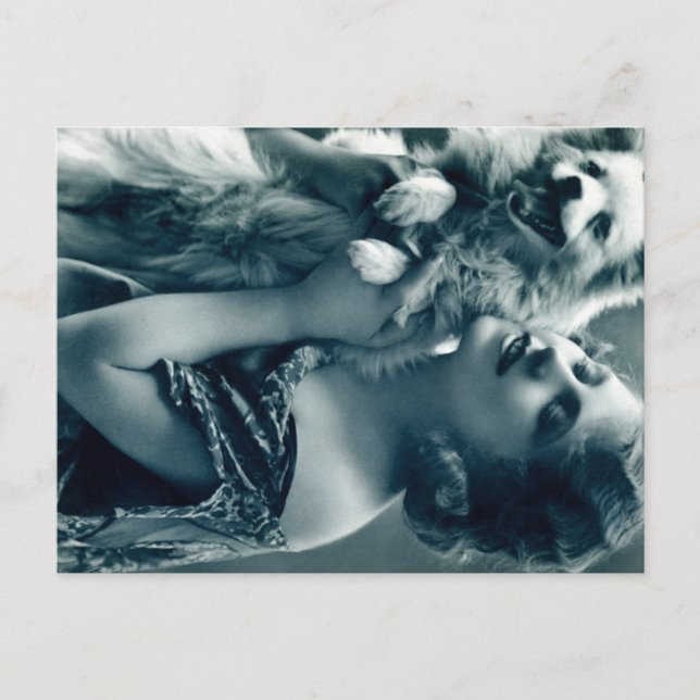 Carte Postale L'amour des chiots (Devant)