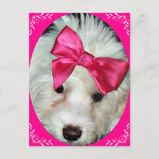 Carte Postale L'amour du chiot_ (Devant)