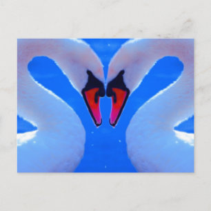 Carte Postale L'Amour Du Cygne, Coeur Romantique En Forme De Cou