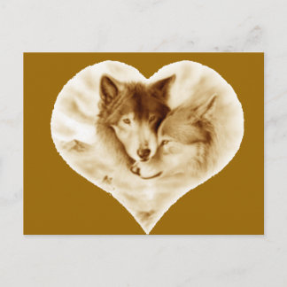 Carte Postale L'amour du loup