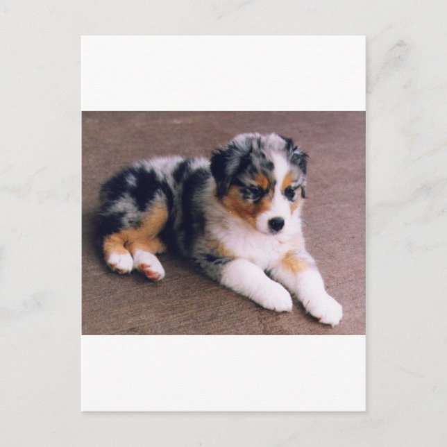 Carte Postale L'amour est,, (Devant)