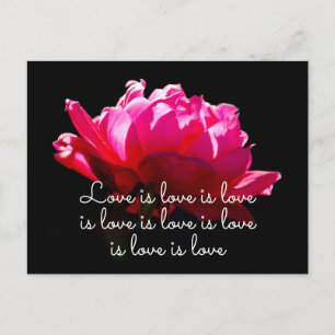 Carte Postale L'amour est amour Dramatique Romantique Rose
