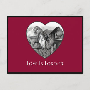 CARTE POSTALE L'AMOUR N'A JAMAIS EU LIEU : CHEVAUX EN PENCIL : C