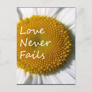Carte Postale L'amour ne manque jamais Daisy 1 Corinthiens 13