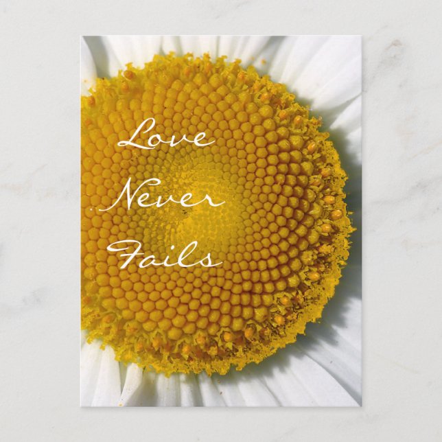 Carte Postale L'amour n'échoue jamais Daisy 1 Corinthiens 13 (Devant)