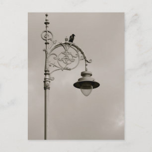 Carte Postale Lampe Dublin