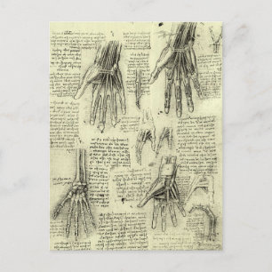 Carte Postale L'anatomie de la main humaine de Léonard de Vinci