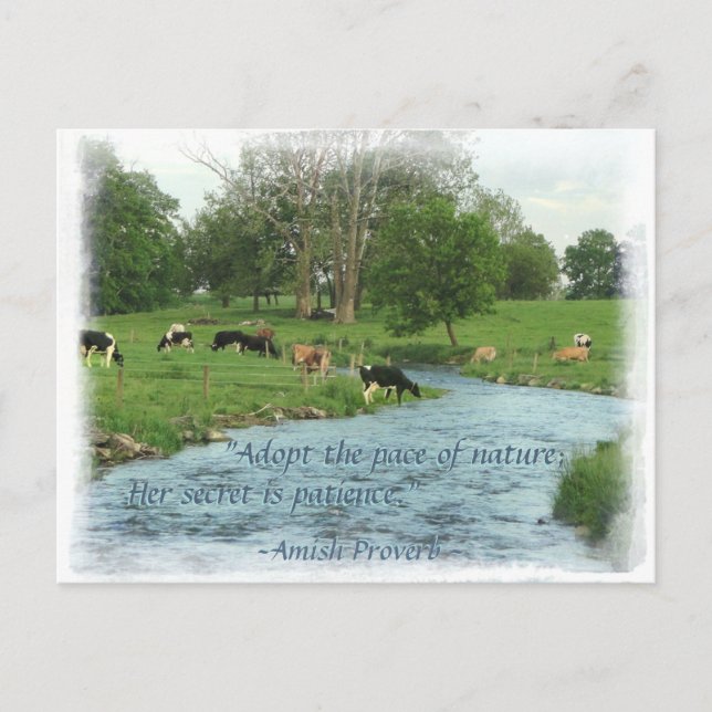 Carte postale Lancaster Amish ! Proverbe Amish ! V (Devant)