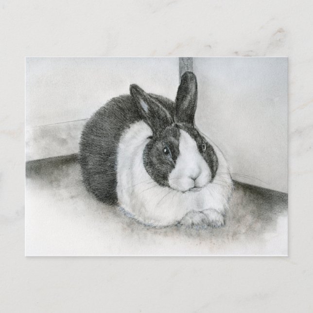 Carte Postale Lancelot (Devant)