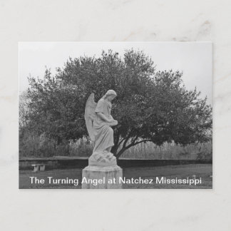 Carte Postale L'ange tournant à Natchez