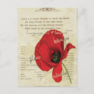 Carte Postale Langue victorienne des fleurs