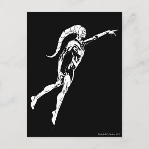 Carte Postale Lanterne bleue 11