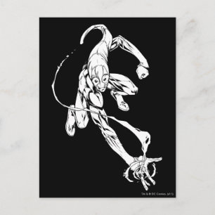 Carte Postale Lanterne bleue 9