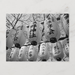 Carte Postale Lanternes du festival de fleurs de cerisiers : Kyo