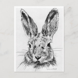Carte Postale Lapin