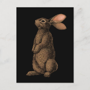 Carte Postale Lapin