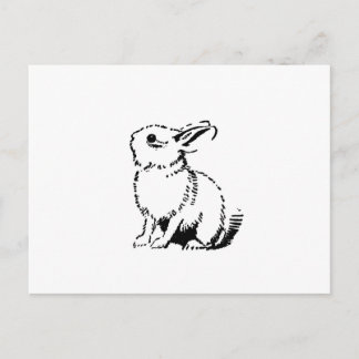 Carte Postale lapin