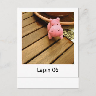 Carte Postale Lapin 06
