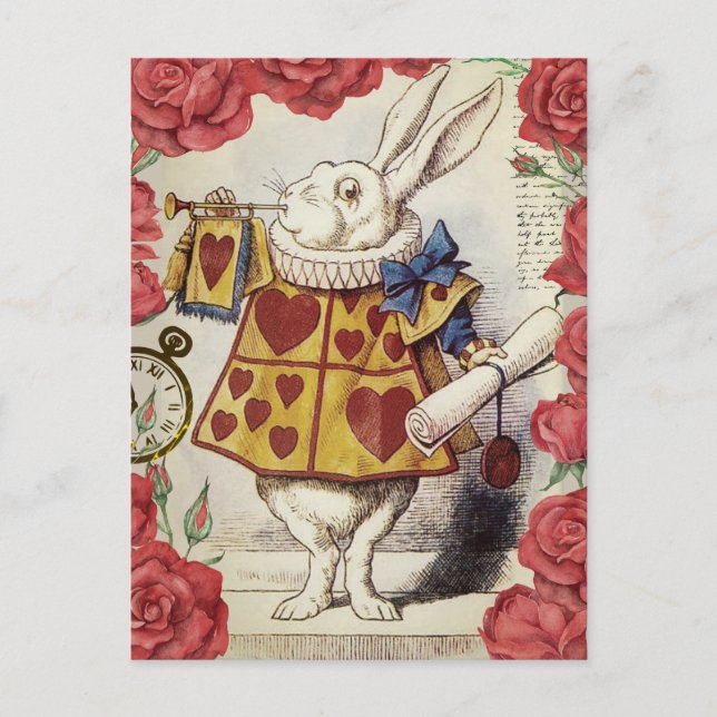 Carte Postale Lapin blanc (Devant)