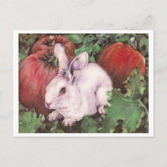 Carte Postale Lapin blanc dans le patch Citrouille (Devant)