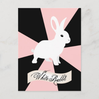 Carte Postale Lapin blanc, rose et blanc