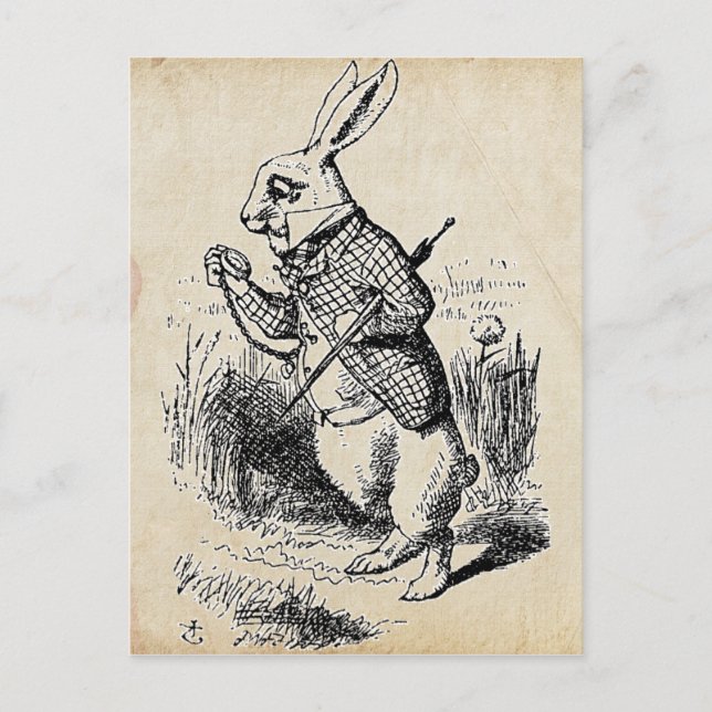 Carte Postale Lapin blanc vintage (Devant)