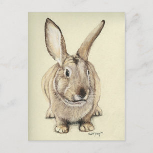 Carte postale "Lapin Brown" Animal Art