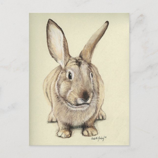 Carte postale "Lapin Brown" Animal Art (Devant)