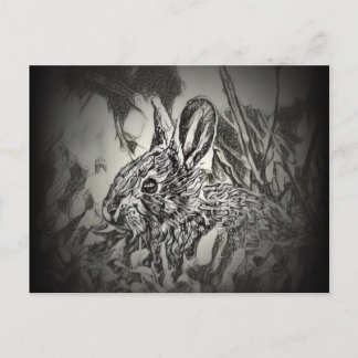 Carte postale Lapin - Critère de triage