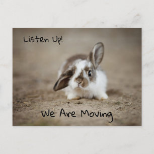 Carte Postale Lapin De Lapin Incroyablement Mignonne Avec L'Orei