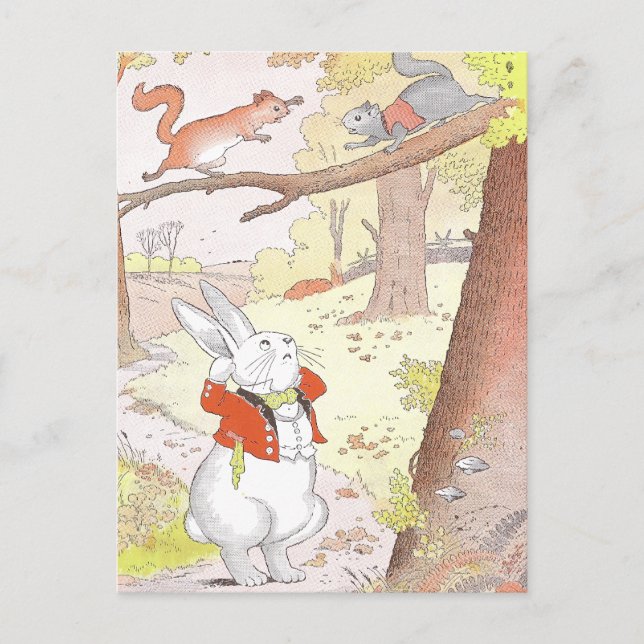 Carte Postale Lapin et écureuils bruyants (Devant)