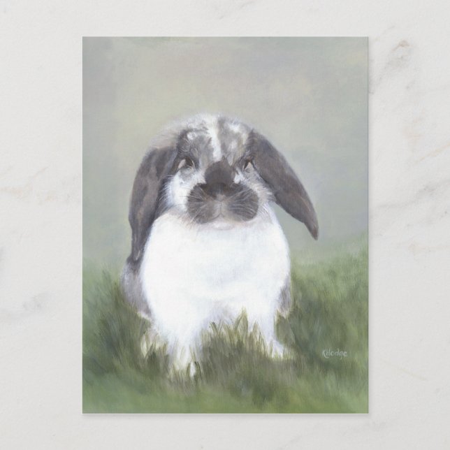 Carte postale Lapin Lapin (Devant)