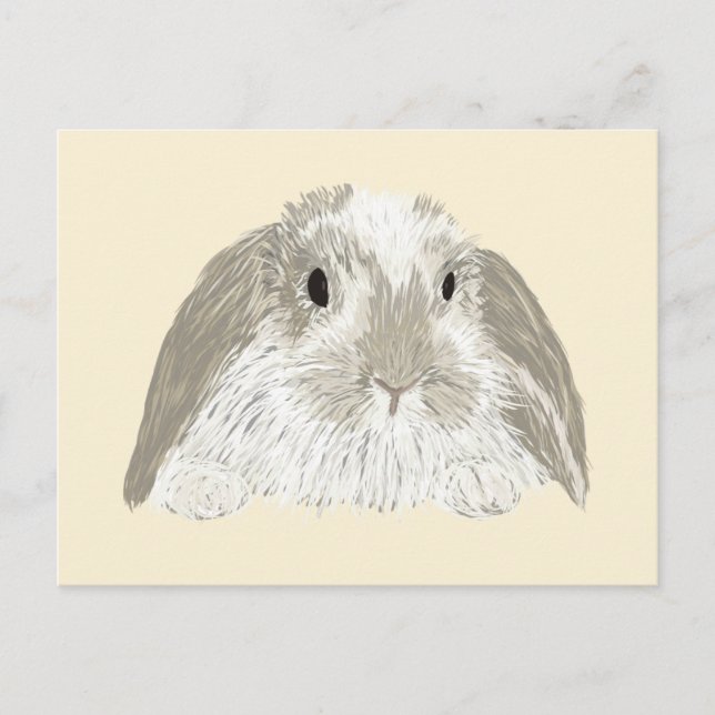Carte Postale Lapin Lapin (Devant)