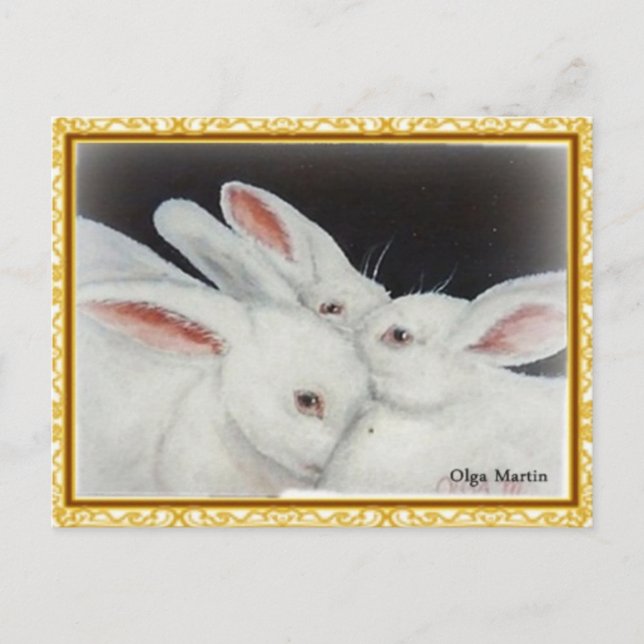 Carte Postale Lapin Lapin Blanc (Devant)