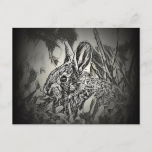 Carte postale lapin lapin - Critère de triage 