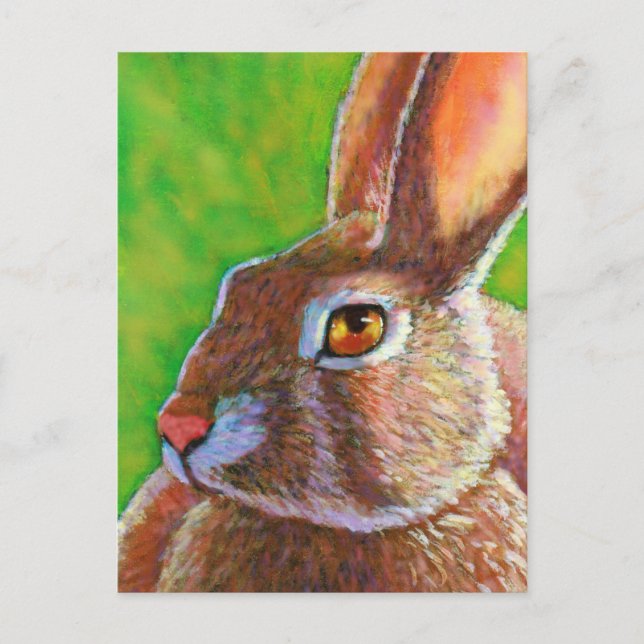 Carte Postale Lapin Sage (Devant)