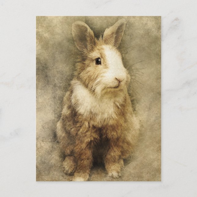 Carte Postale lapin vintage (Devant)