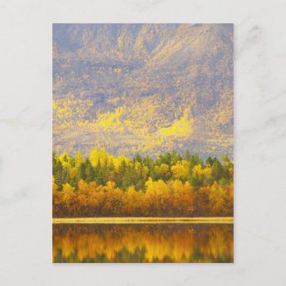 Carte Postale Laponie norvégienne aux couleurs de l'automne