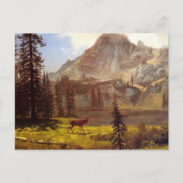 Carte Postale L'Appel de la forêt par Albert Bierstadt 1876–77 (Devant)