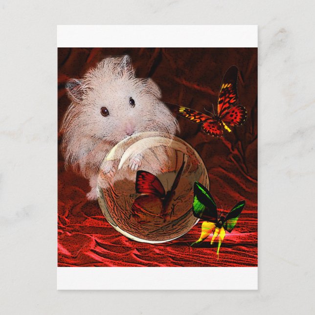 CARTE POSTALE L'APRENTICE (Devant)